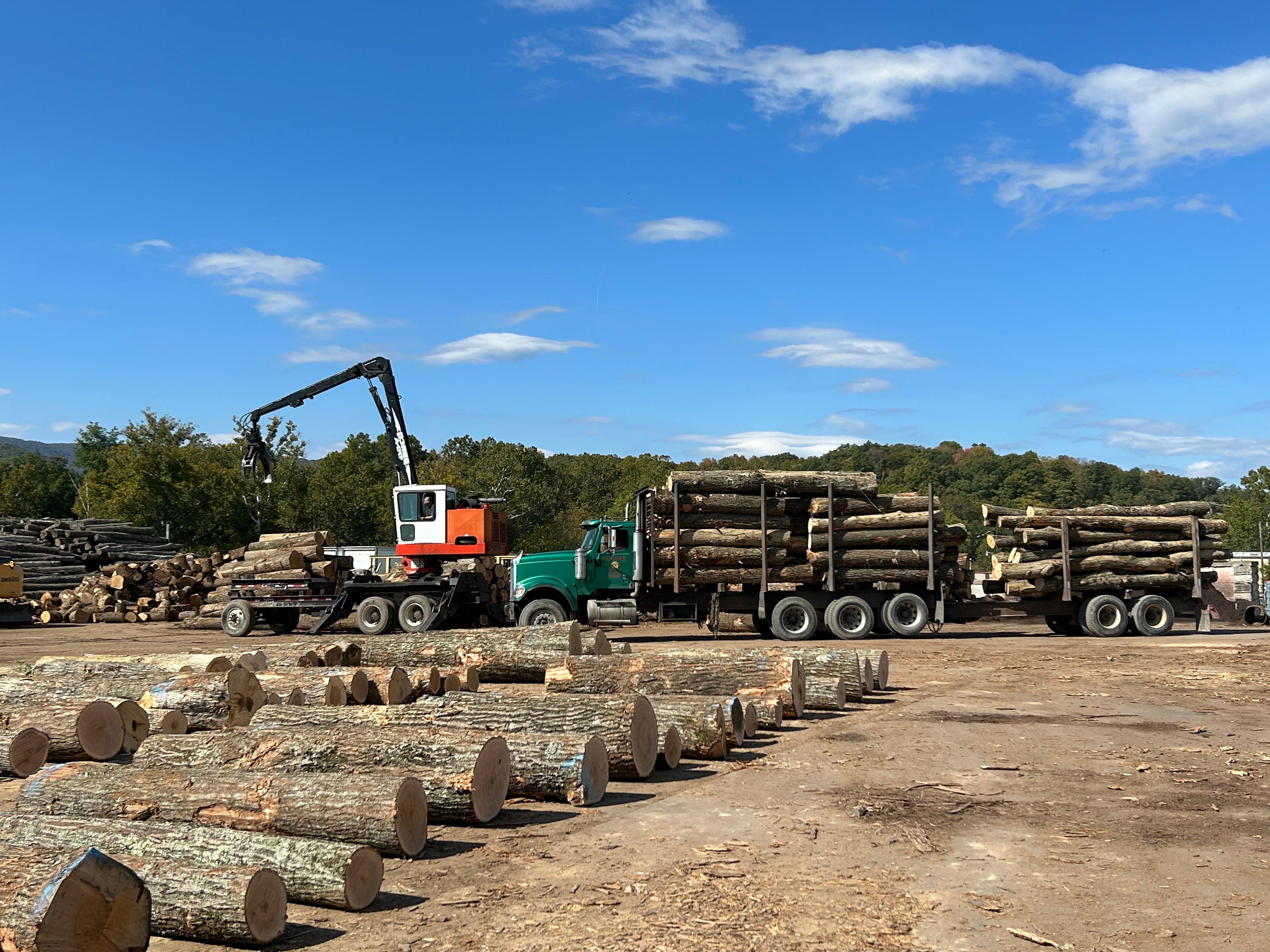 High mountain timber log trucks forestry